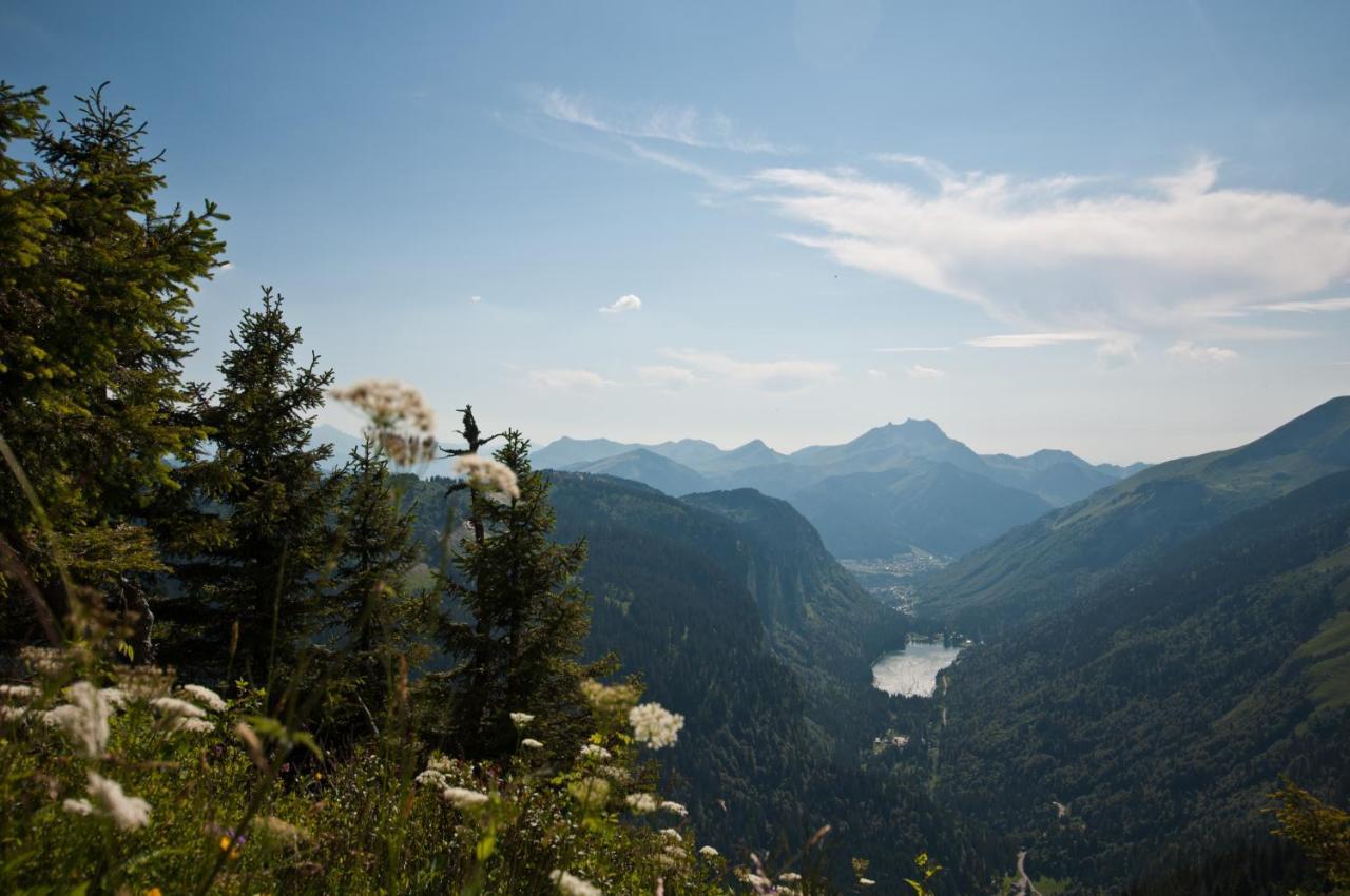 Chalet Sur Les Monts Morzine Монрьон Экстерьер фото